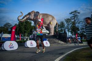 BIB: 
                            <button type="button" onclick="openModal(26541890)" class="btn btn-primary btn-sm float-right btn-popup" data-toggle="modal" data-target=".modal-high-quality">
                        <i class="fas fa-shopping-cart"></i> Add to Cart
                    </button>
                                            <button type="button" onclick="isThisMe(26541890, true)" class="btn btn-success btn-sm float-right btn-popup btn-isme hidden" data-toggle="tooltip" data-placement="bottom" title="นี่คือรูปของคุณใช่ไหม คลิกที่นี่เพื่อเอาเข้าอัลบั้ม">
                        <i class="fas fa-plus"></i> Add to album
                    </button>
                    <button type="button" onclick="isThisMe(26541890, false)" class="btn btn-warning btn-sm float-right btn-popup btn-isnotme hidden">
                        <i class="fas fa-ban"></i> Remove from album
                    </button>